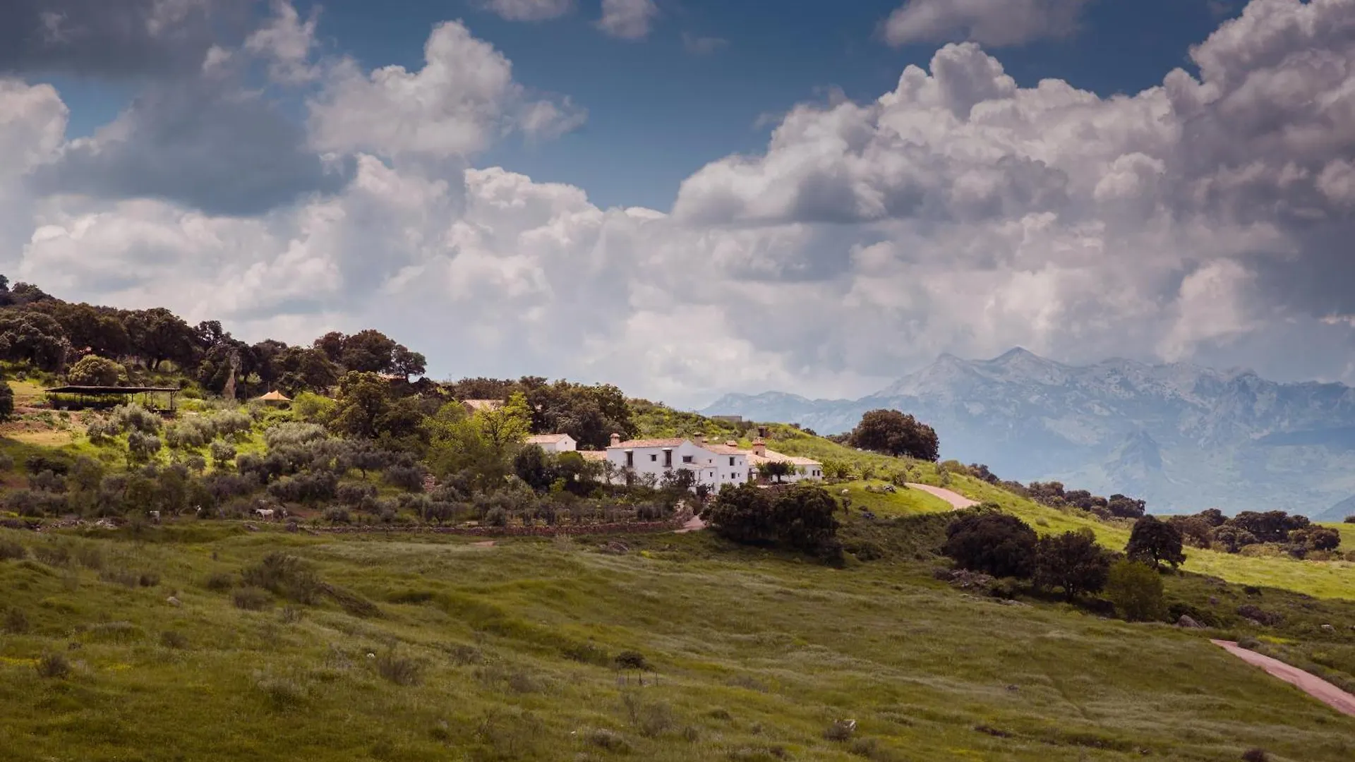 La Donaira Guest House Montecorto Country house
