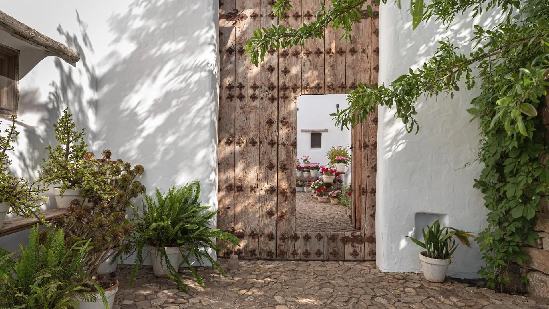 La Donaira Guest House Montecorto Country house